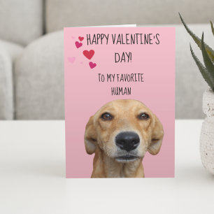 Happy Valentine's Day From The Dog Card