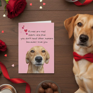 Happy Valentine's Day From The Dog Lover Card