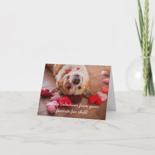 Happy Valentines Day from Your Fur Child Card