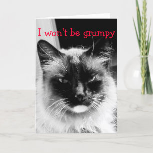 Happy Valentine's Day Frowning Cat Holiday Card
