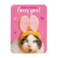Happy Valentine's Day Funny Cat in Bunny Ears