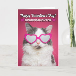 Happy Valentine's Day Granddaughter Cute Cat Holiday Card
