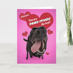 Happy Valentine's Day Grandson Funny Dog Humour Holiday Card