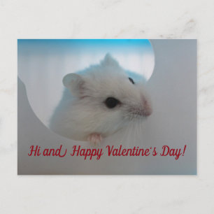 Happy Valentine's Day Hamster Holiday Postcard