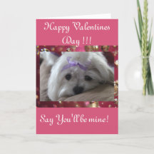 Happy Valentines Day