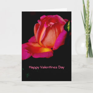 Happy Valentines Day Holiday Card