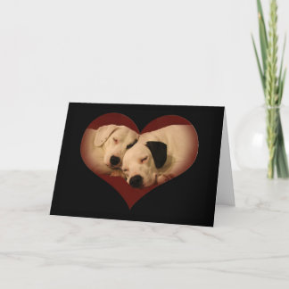 Happy Valentine's Day, Honey! Holiday Card