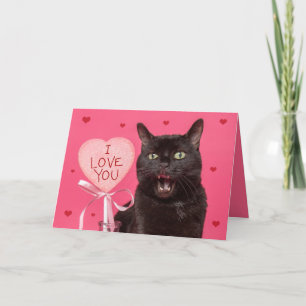 Happy Valentines Day I Love You Funny Talking Cat  Holiday Card