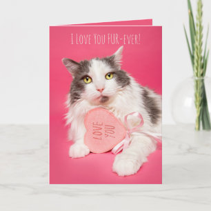 Happy Valentines Day I Love You FurEver Cat Holiday Card