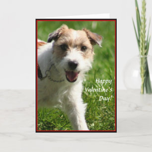 Happy Valentine's day Jack Russell Terrier card