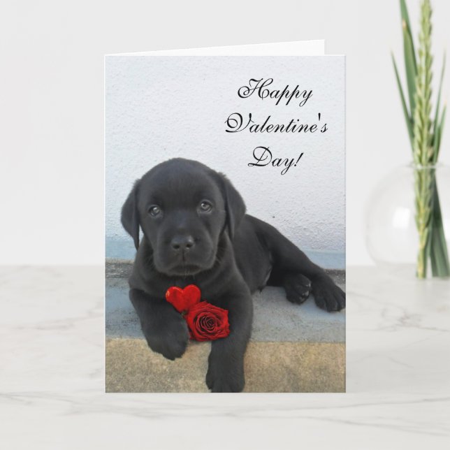 Happy Valentine's Day Labrador dog card (Front)