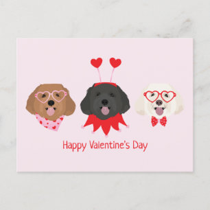 Happy Valentines Day Maltipoo Dogs Postcard