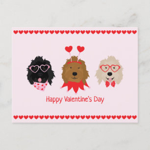 Happy Valentines Day Mini Goldendoodle Dogs Postcard