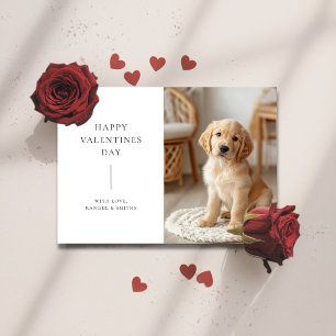 Happy Valentines Day Puppy Dog Pet Photo Cards