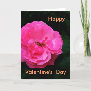 Happy  Valentine's  Day, rose Holiday Card