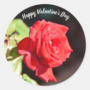 Happy Valentine's Day Rose sticker