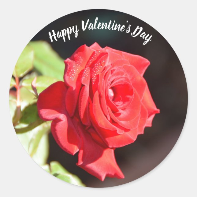 Happy Valentine's Day Rose sticker (Front)