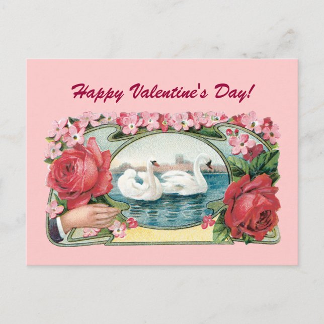Happy Valentine's Day Roses Swans Postcard (Front)