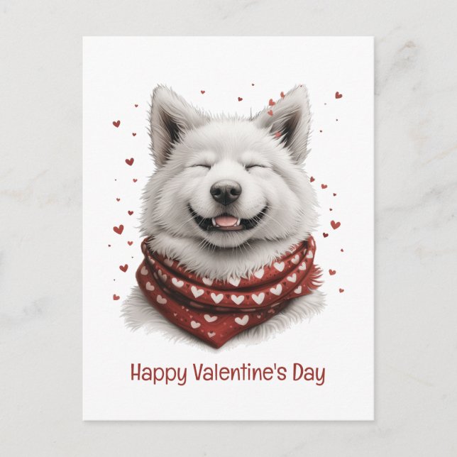 Happy Valentines Day Samoyed Dog Postcard (Front)