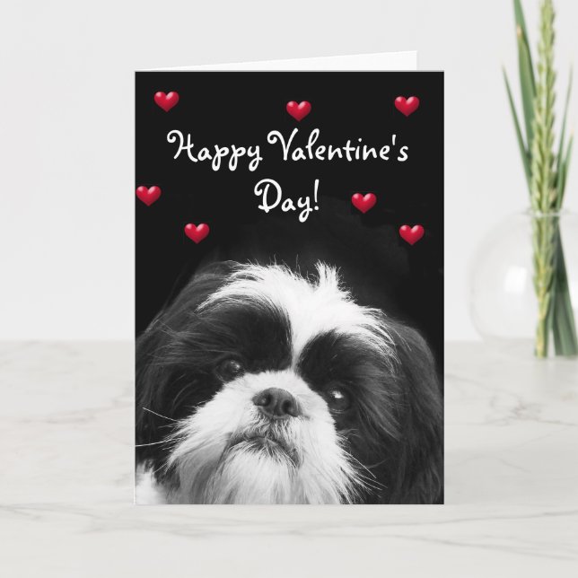 Happy Valentine's Day Shih Tzu greeting card (Front)