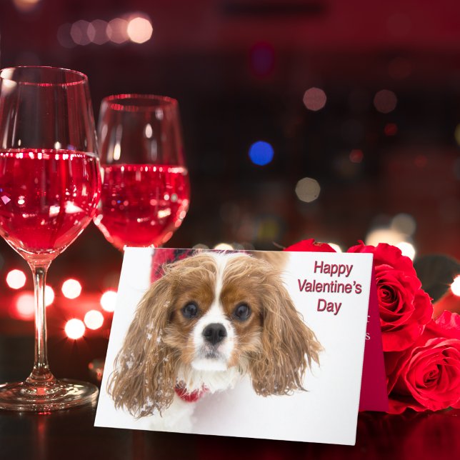Happy Valentine's Day Snowy Cavalier King Charles Holiday Card (Creator Uploaded)