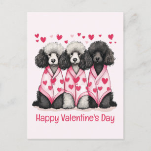 Happy Valentines Day Standard Poodle Dogs Holiday Postcard