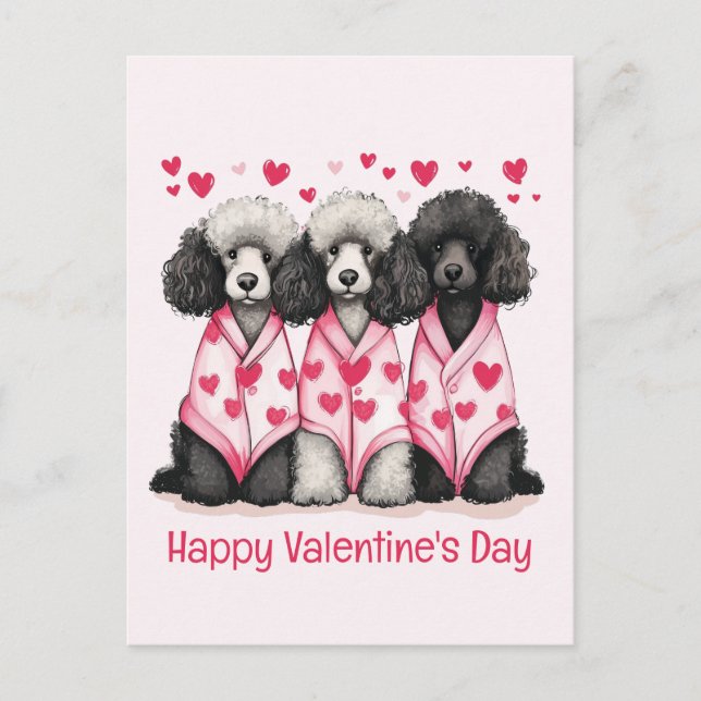 Happy Valentines Day Standard Poodle Dogs Holiday Postcard (Front)