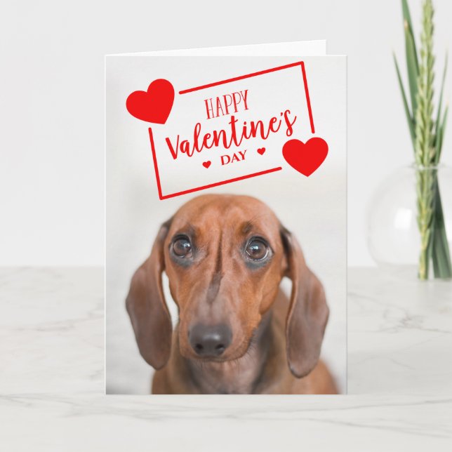 Happy Valentine's Day | Sweet Dachshund Puppy Card (Front)