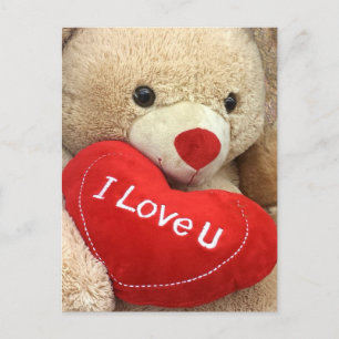 Happy Valentine's Day Teddy Bear Holiday Postcard