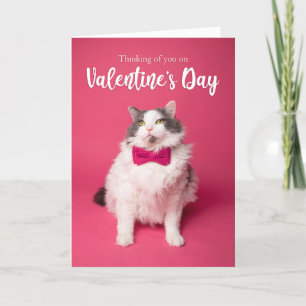 Happy Valentine's Day Thinking of You Cute Cat Holiday Card
