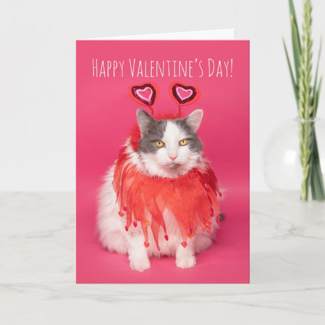 Happy Valentine's Day Warm and Fuzzy Cat Holiday Card (Front)