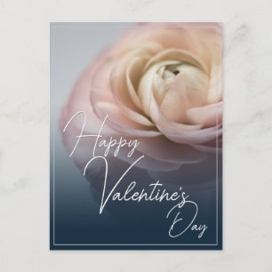 Happy Valentine's Day with big pink rose Holiday Postcard