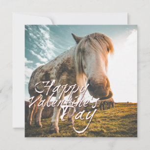 Happy Valentine's day with looking Horse