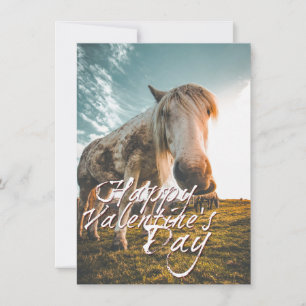 Happy Valentine's day with looking Horse