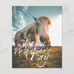 Happy Valentine's day with looking Horse