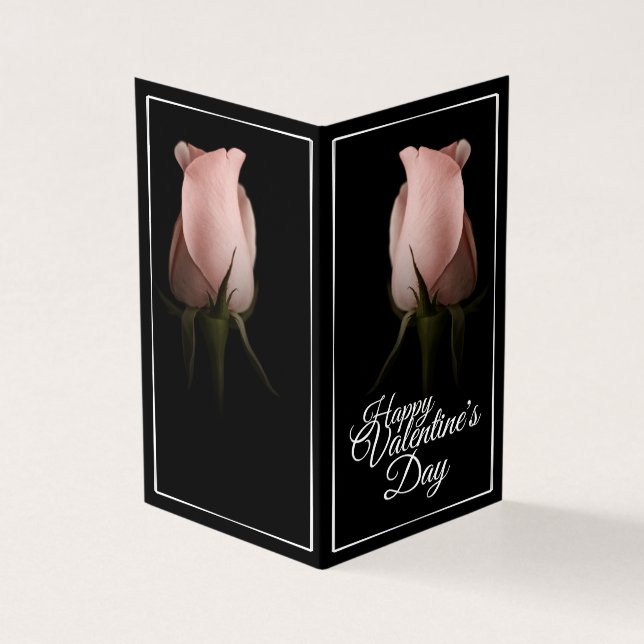 Happy Valentine's Day with pink rose (Outside)