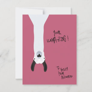 Happy Valentine's Day   Your Llama-zing!   Llama  Card