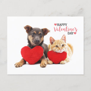 Happy Valentine's Dog and Cat Holiday Postcard