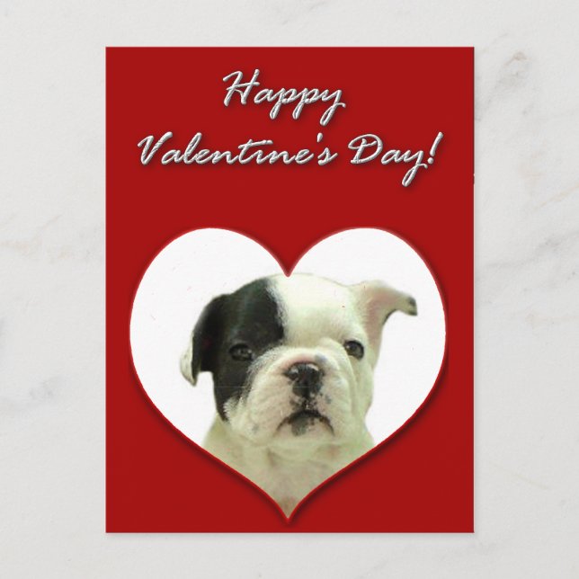 Happy Valentine's  French Bulldog puppy postcard (Front)