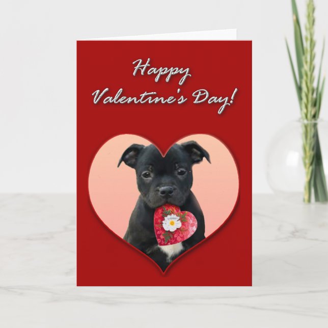 Happy Valentine's Staffordshire Bull Terrier  Card (Front)