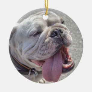 Happy White Bulldog Ceramic Ornament