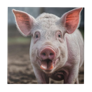 Happy White Pig Tongue Poke, Ceramic Tile