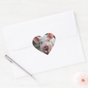 Happy White Pig Tongue Poke, Heart Sticker