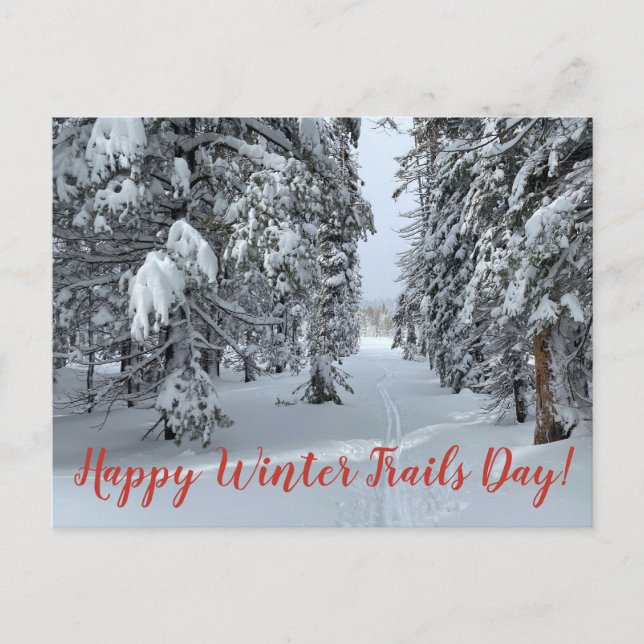 Happy Winter Trails Day! Postcard (Front)