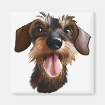 Happy Wirehaired Dachshund