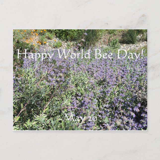 Happy World Bee Day!Postcard Postcard (Front)