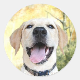 Happy Yellow Lab Classic Round Sticker