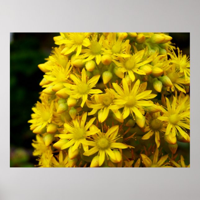 HappY YeLLoW Poster (Front)