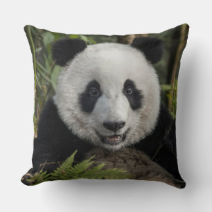 Happy young panda, China Cushion