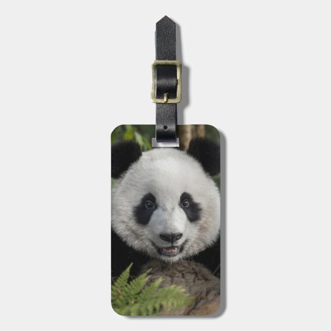 Happy young panda, China Luggage Tag (Front Vertical)